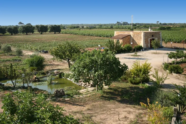 La tenuta: uliveto, frutteto e stagno