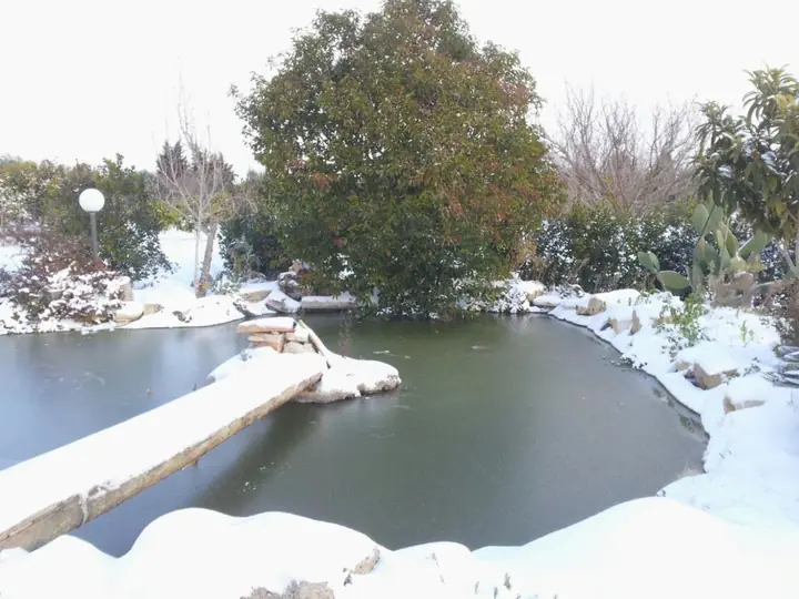 Lo stagno in un raro giorno di neve